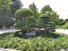 -济南植物园