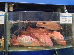 -果蔬好生活超市(东湖店)