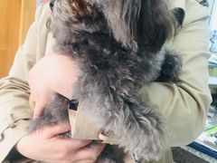 -爱侣宠医·鹦鹉专科·小型哺乳类·异宠专科(灵石路店)