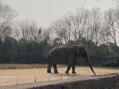 -合肥野生动物园