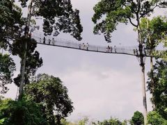 -中国科学院西双版纳热带植物园
