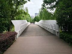 -南翔镇银翔湖公园