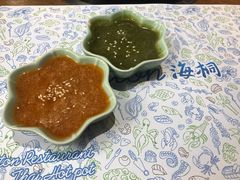 -海桐
