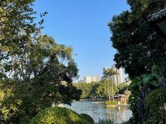 -荔湾湖公园