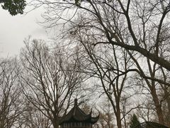 -拙政园