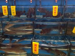 -渔中舟海鲜大排档(普陀沈家门店)