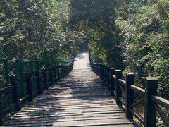 -树山生态村