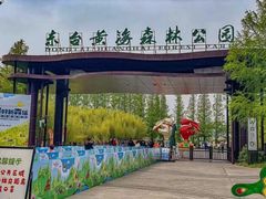 -黄海国家森林公园