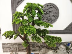 -呼吸森林·生态农庄农家乐私房菜