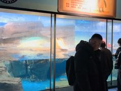 -海合安武汉极地海洋公园