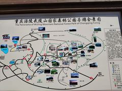 -武陵山森林公园