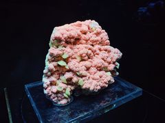 -南京博物院