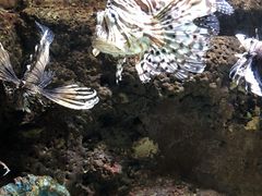 -杭州海底世界