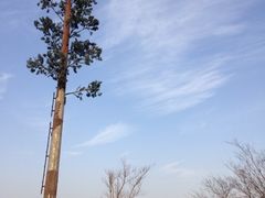 iphone_upload_pic-江南天池