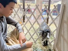 -北国商城