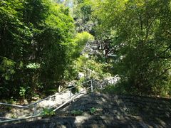 -大埔公路-马料水段香港中文大学(公交站)