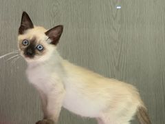 -乐宠宠物店(世纪金源店)