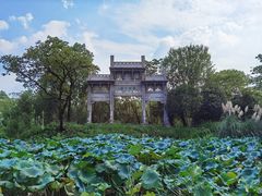 -西溪国家湿地公园
