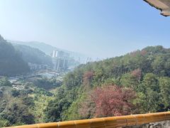 -白云山风景名胜区