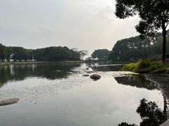 -蠡湖中央公园