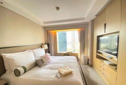 -巍阁高端月子会所