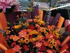 -花鸟鱼虫鲜花绿植市场(玉泉路店)
