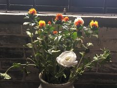 -老屋咖啡