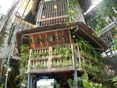 -Rainforest