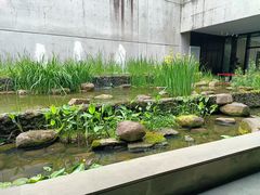 -中国湿地博物馆