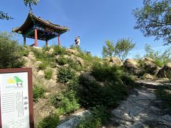-北京鹫峰国家森林公园