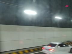 -胶州湾海底隧道