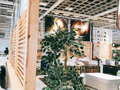 大堂-宜家家居(宝山商场店)