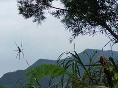 -梧桐山风景名胜区