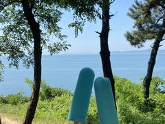 -大连金石滩滨海国家地质公园