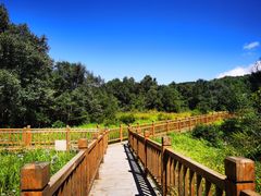 -白草畔自然风景区