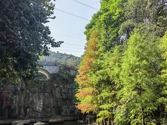 -广州市帽峰山景区