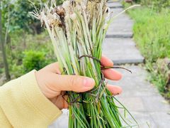 -敬亭山风景名胜区