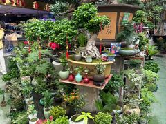 -金三角花鸟鱼综合市场-地面停车场