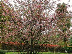 -韶山毛泽东同志故居