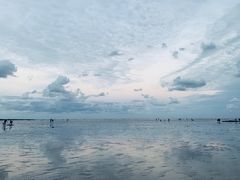 -南汇新城海滩