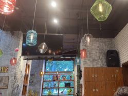 -T.1 hair salon烫染接发