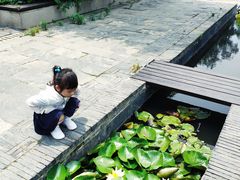 -石塘人家
