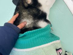 -怪兽屋·羊驼·猫咖·狗咖(俊华广场店)