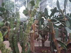 -南通洲际绿博园