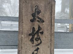 -天目山大树王景区