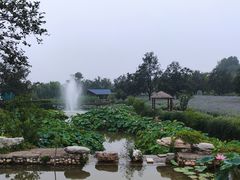 -静之湖湖畔餐厅