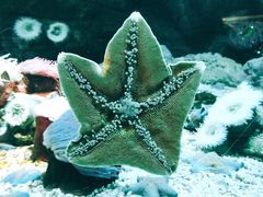 -南昌融创海世界