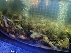 -福禧荟·海鲜自助