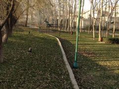 林荫大道-月亮河温泉度假酒店