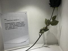 -深圳失恋博物馆再见前任(汇商名苑店)